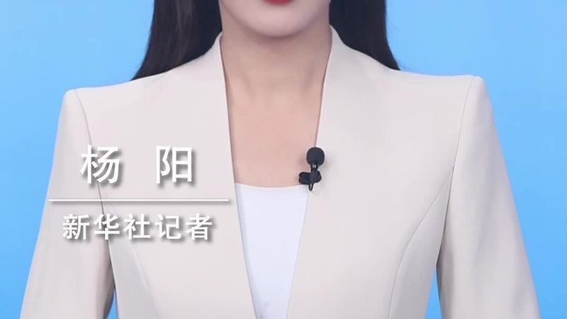数据中台落地：如何构建高效的数据治理与服务平台**